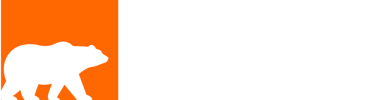 Big Bear Consulting Group